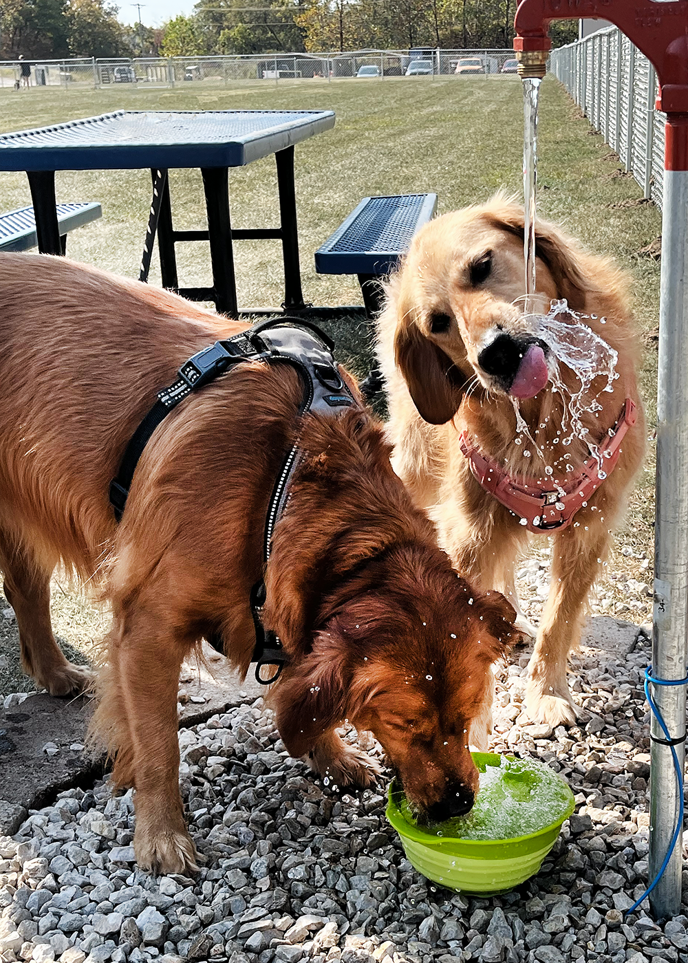 Osage Beach Lowe's Bark Park