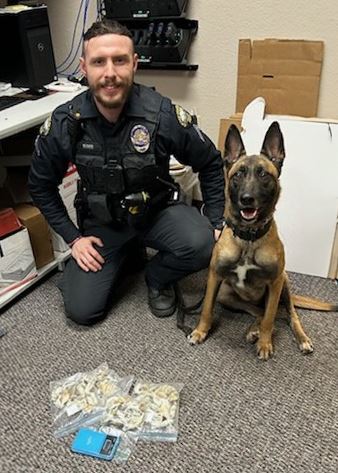 K9 Unit Makes Psilocybin Mushroom Arrest