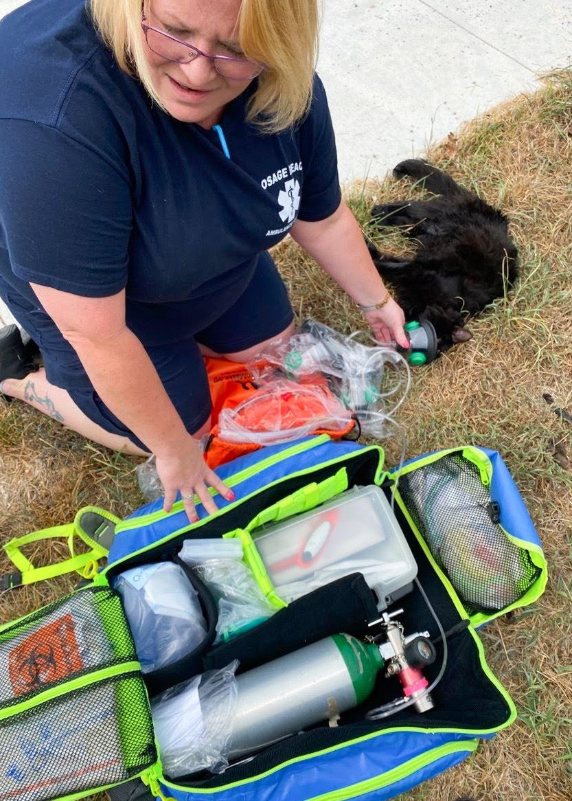 Osage Beach Ambulance Service Treats Pets