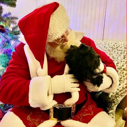 Screenshot_6-11-2025_102231_lakesanta.com