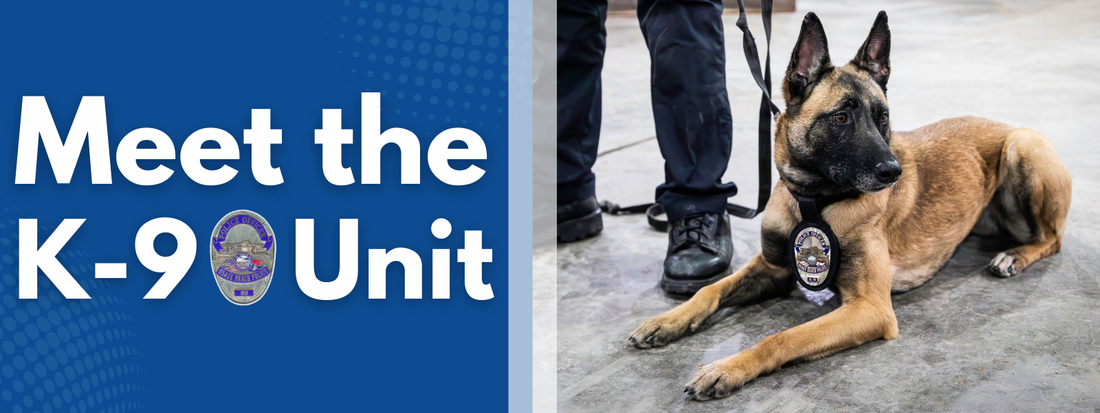 Meet the K9 Unit